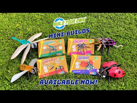 STEM Build - Stag Beetle with Moving Mechanisms - Image 2