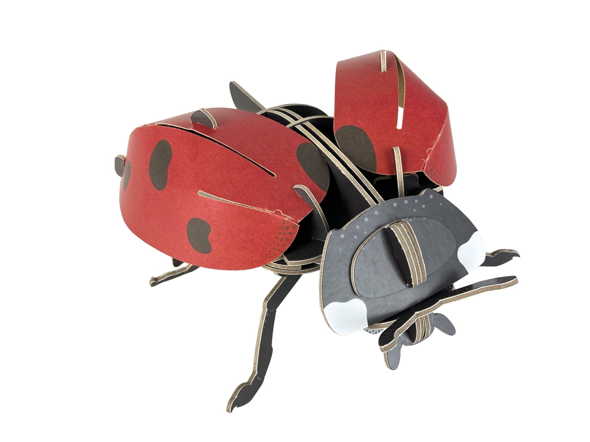 STEM Build - Ladybird with Moving Mechanisms - Image 9