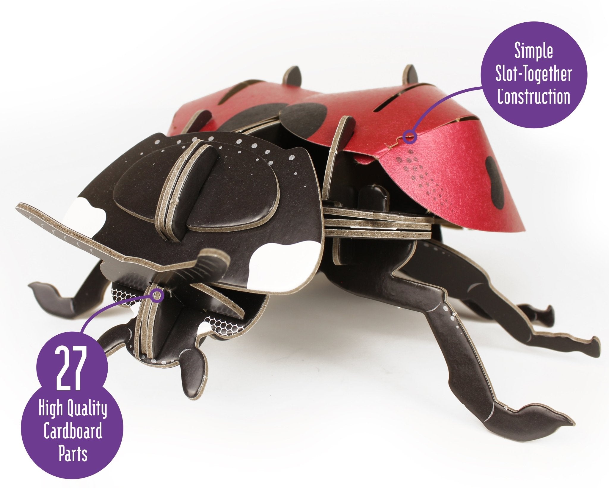 STEM Build - Ladybird with Moving Mechanisms - Image 3