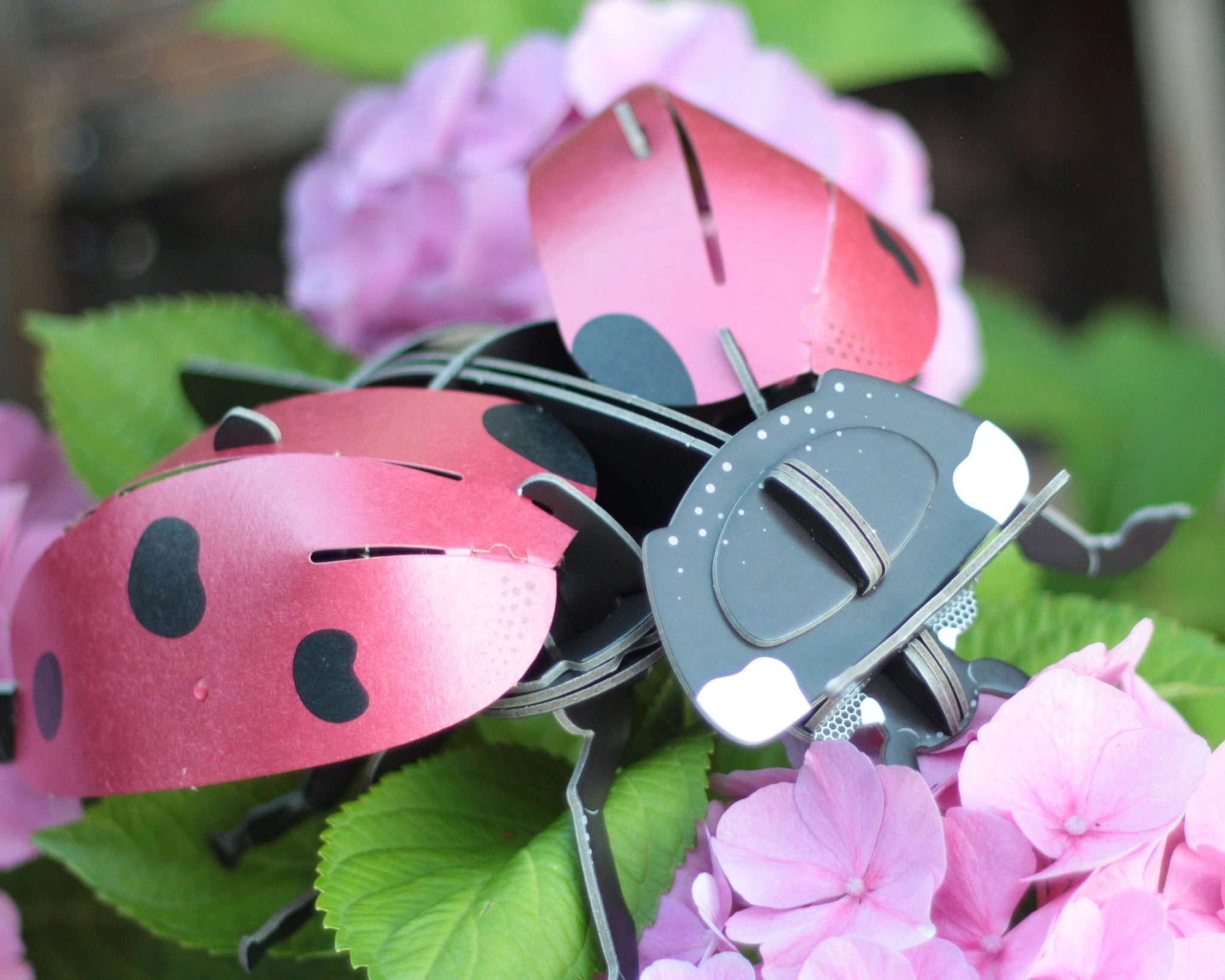 STEM Build - Ladybird with Moving Mechanisms - Image 8