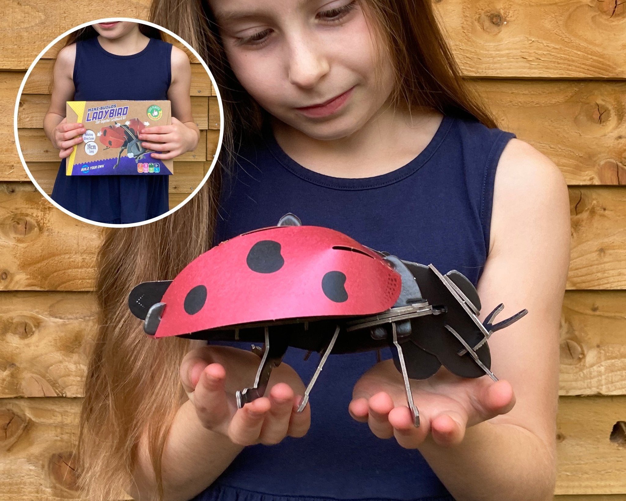 STEM Build - Ladybird with Moving Mechanisms - Image 7