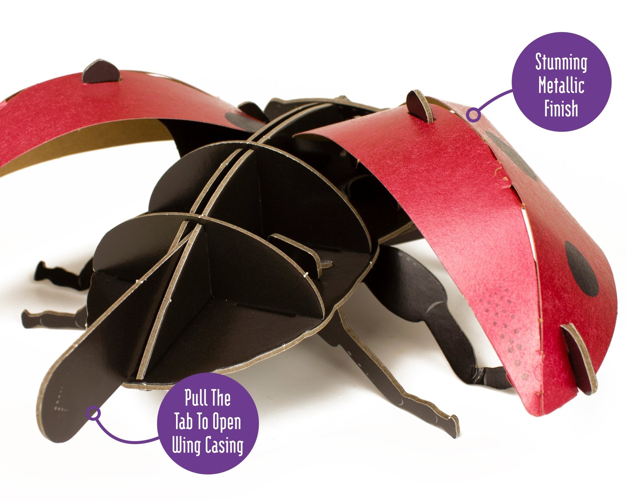 STEM Build - Ladybird with Moving Mechanisms - Image 4
