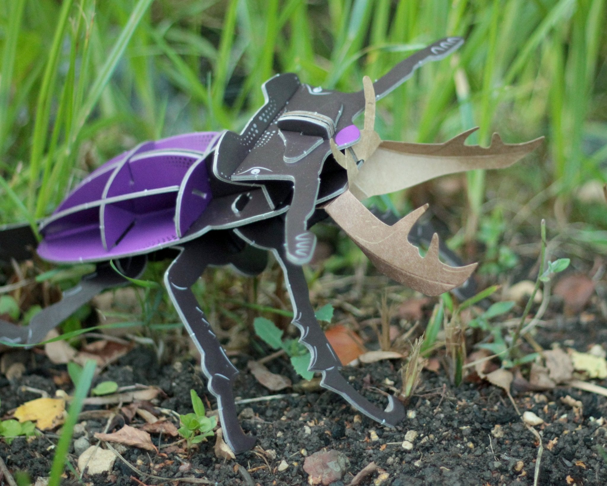STEM Build - Stag Beetle with Moving Mechanisms - Image 9