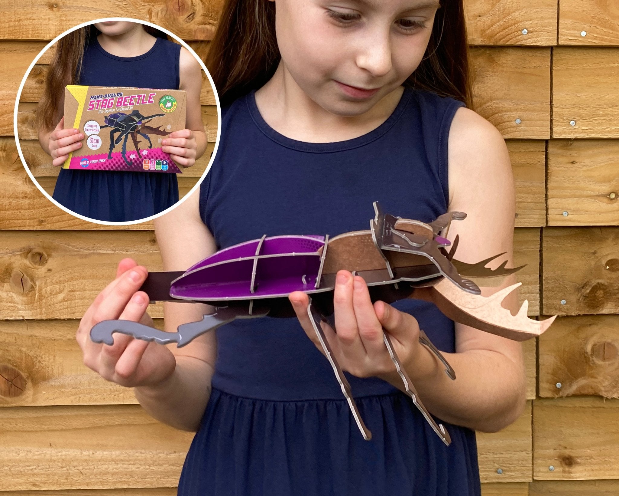 STEM Build - Stag Beetle with Moving Mechanisms - Image 3