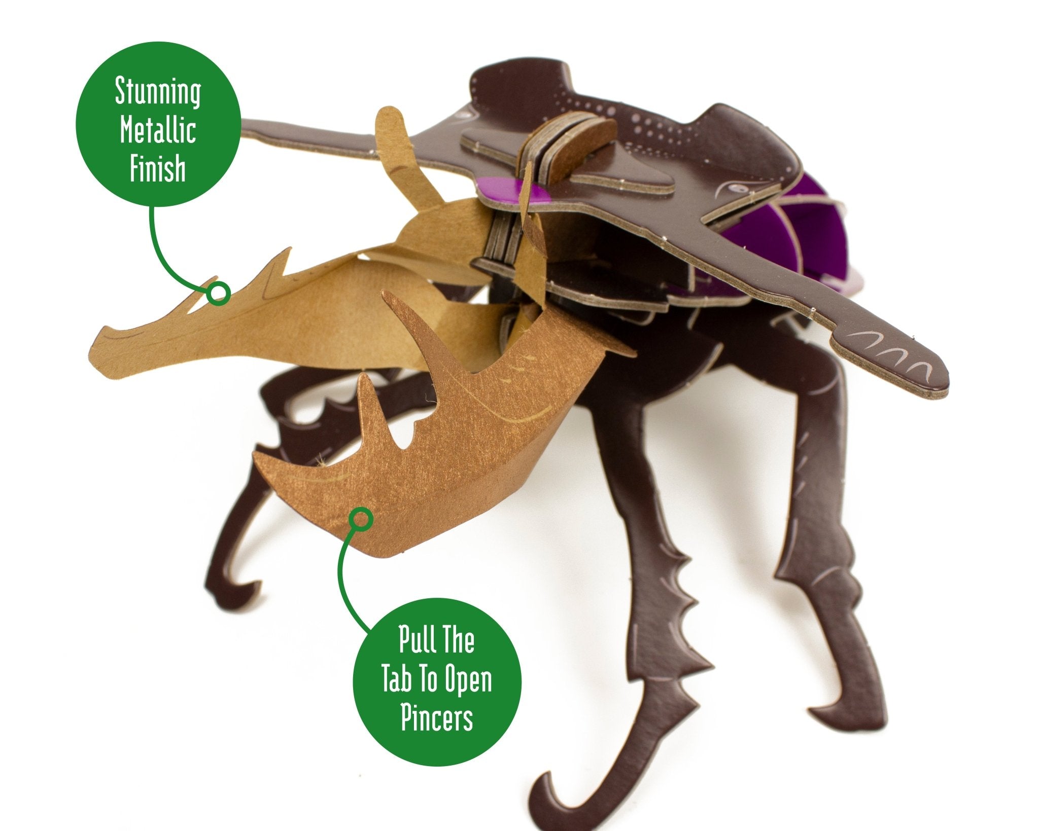 STEM Build - Stag Beetle with Moving Mechanisms - Image 5