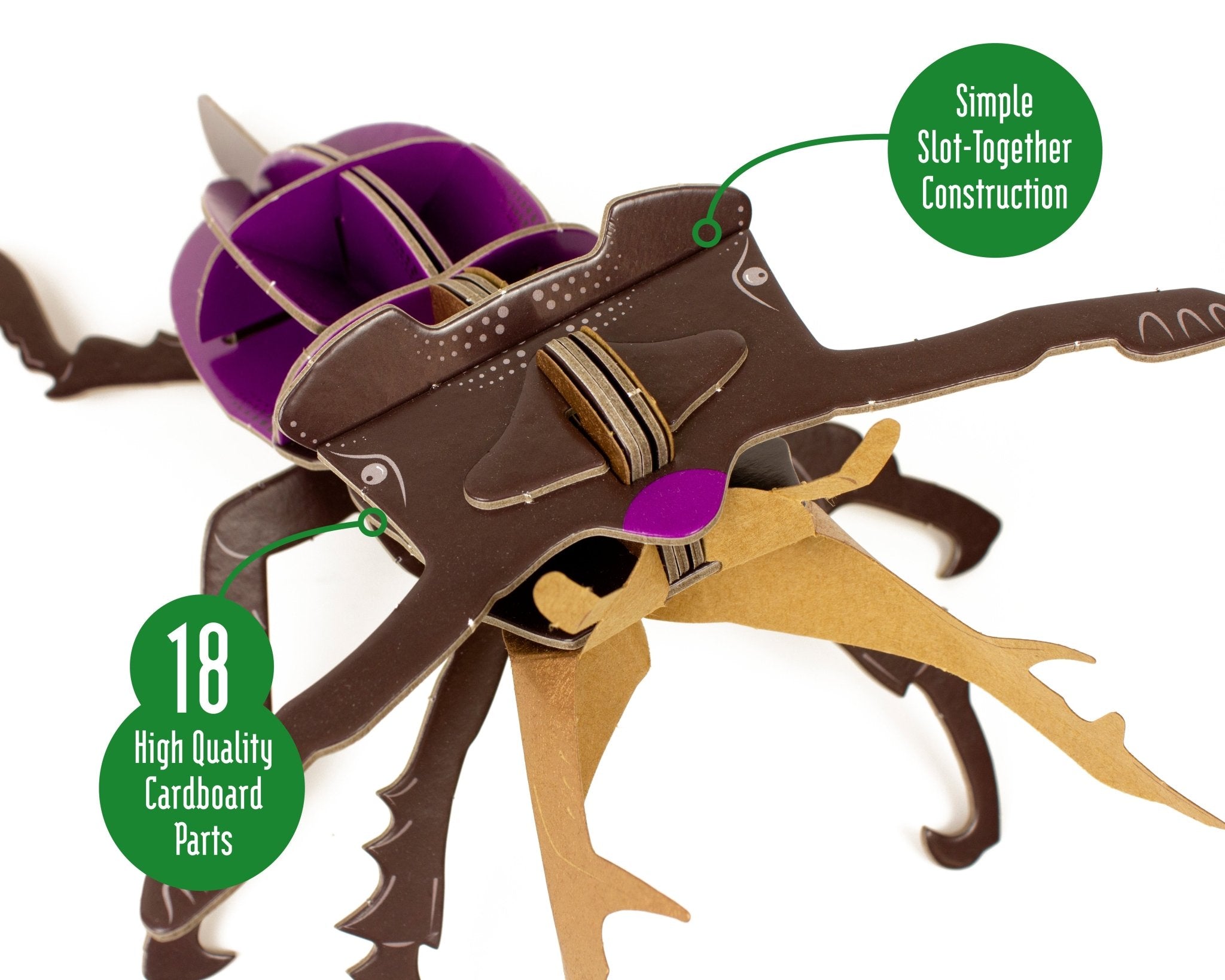 STEM Build - Stag Beetle with Moving Mechanisms - Image 4